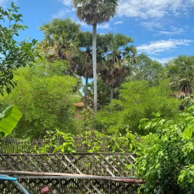Terrace photo 2